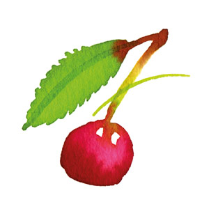 Organic Morello Cherry